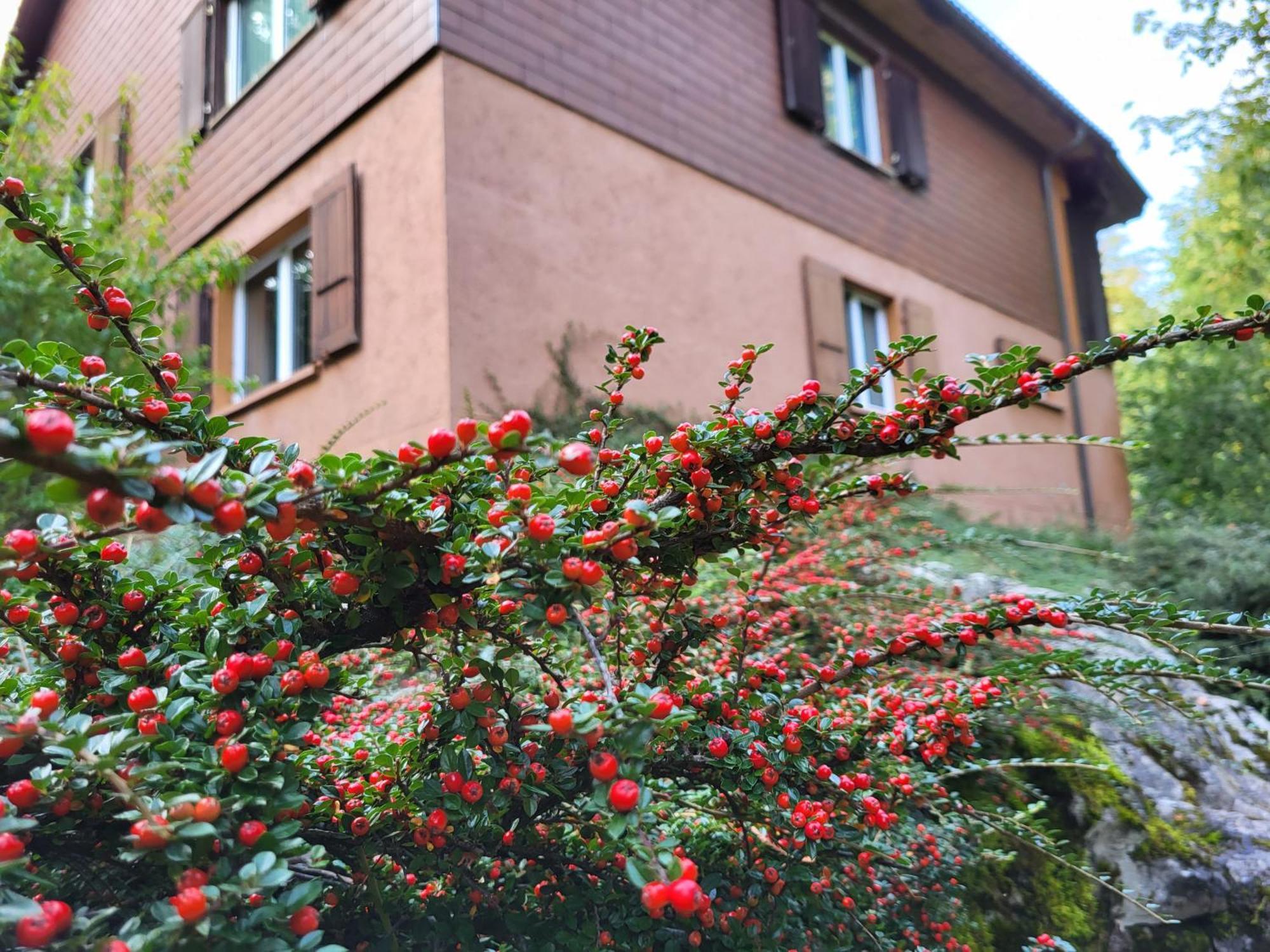 Ferienhaus Baerschwendi Lungern Exteriér fotografie