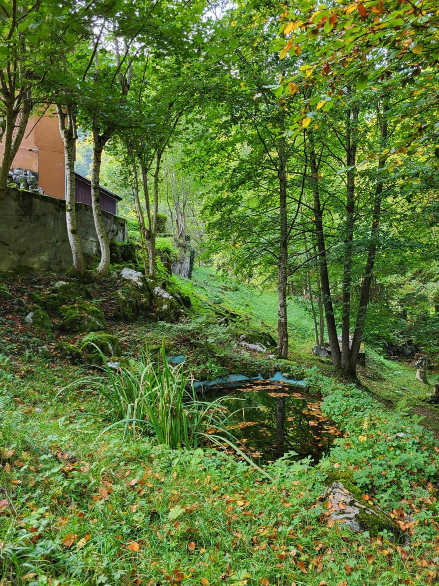 Ferienhaus Baerschwendi Lungern Exteriér fotografie